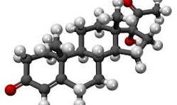 17-alpha  Hydroxy Progesterone  (17-OHP)